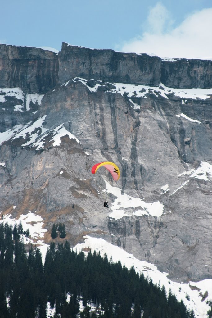 2009flims2396jpg 35352483363 o