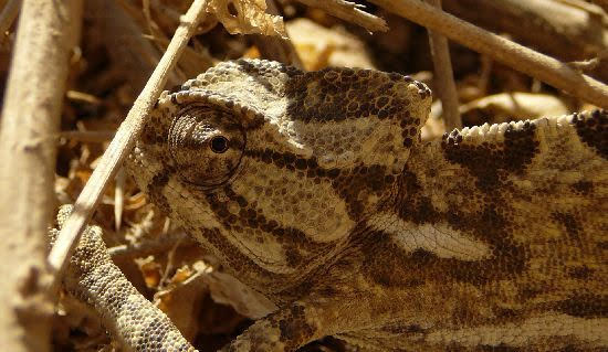 2009israele1997jpg 35991389042 o