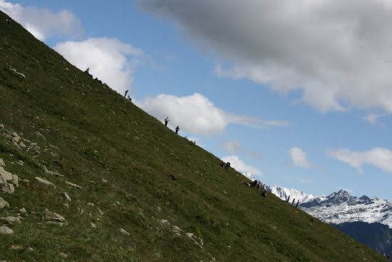 2009nara2177jpg 35352372773 o