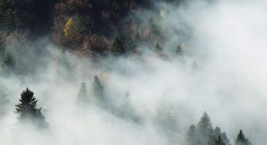 2009volinellevalli1983jpg 35768219860 o