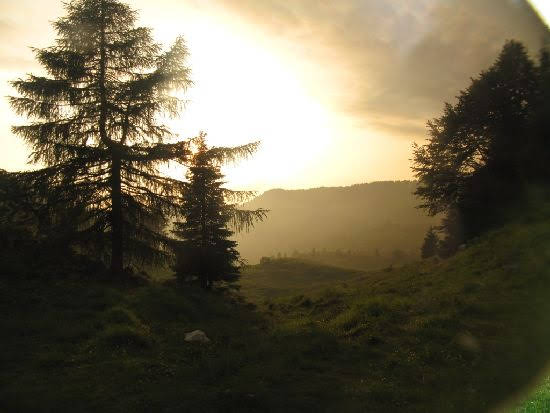 2010bassano1783jpg 36119084456 o