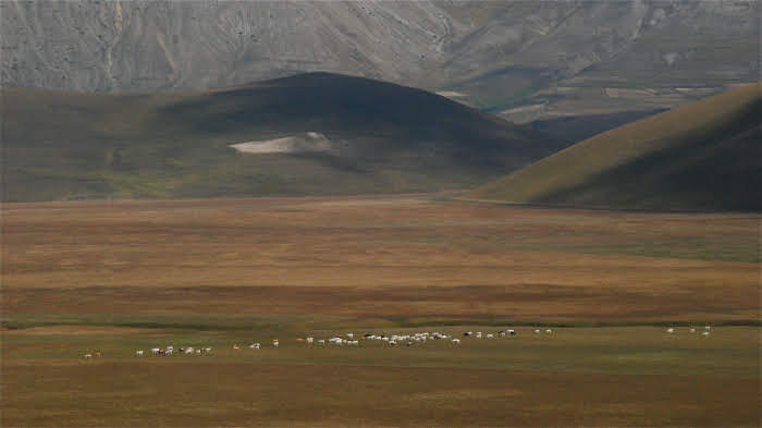 2010castellucciodinorcia1573jpg 35320233784 o