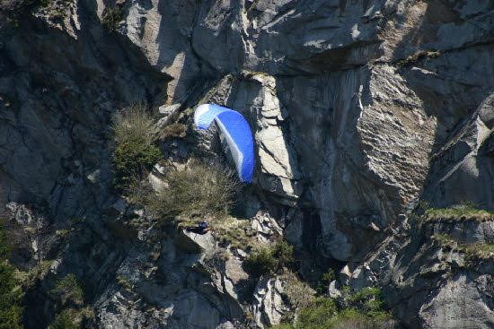 2010dagro1775jpg 36159632685 o