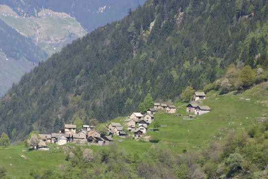 2010dagro1776jpg 36159632485 o