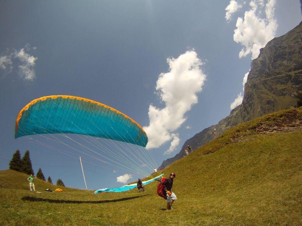 2010sanbernardinoestate1627jpg 36159603835 o