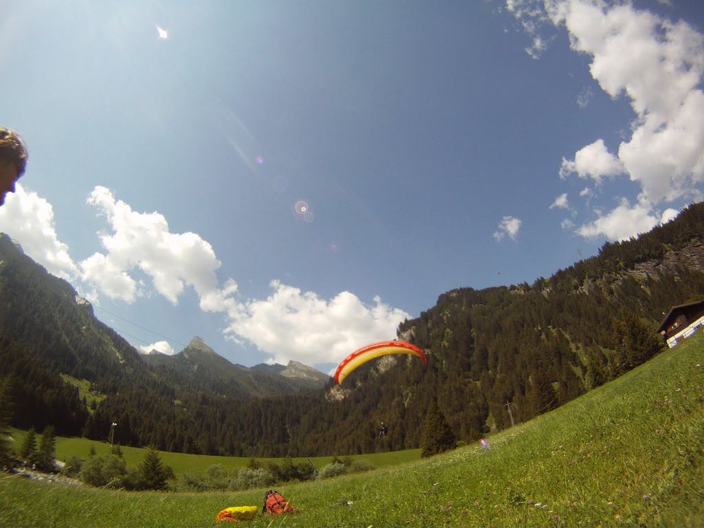 2010sanbernardinoestate1628jpg 35352110143 o