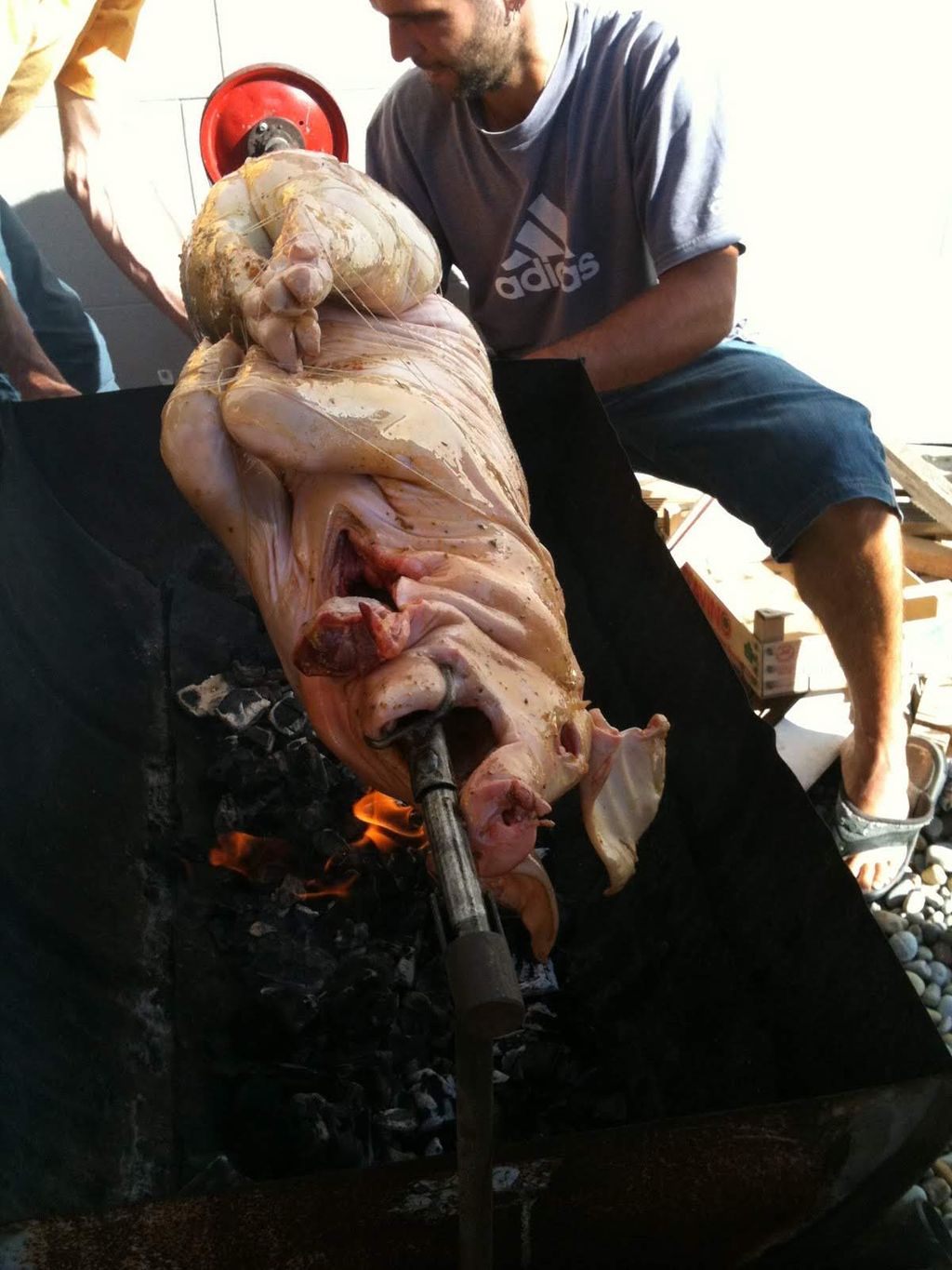 2010sanbernardinoestate1638jpg 36118988196 o