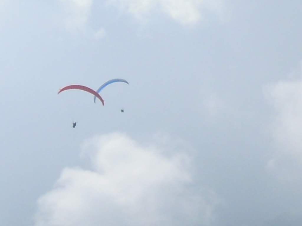 2011giornatadivolodalnara1405jpg 36118911066 o