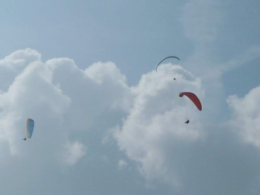 2011giornatadivolodalnara1406jpg 36118910286 o