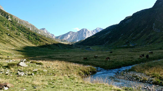 2012cassimoi adula1215jpg 36118883296 o