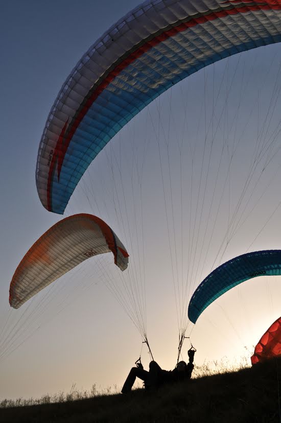 2012seraleallema1050jpg 36118835466 o