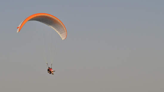 2012seraleallema1078jpg 36025873991 o