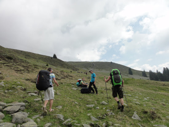 2013nara891jpg 35319864204 o