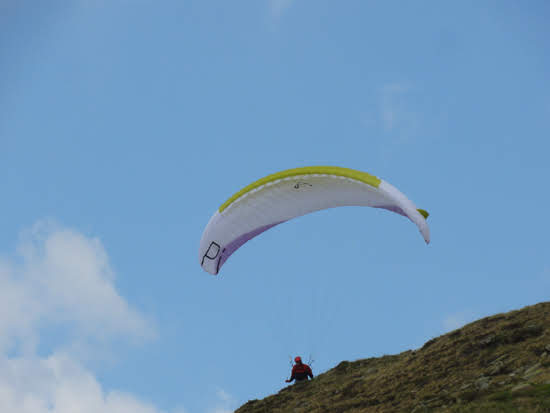 2013nara904jpg 35990904072 o