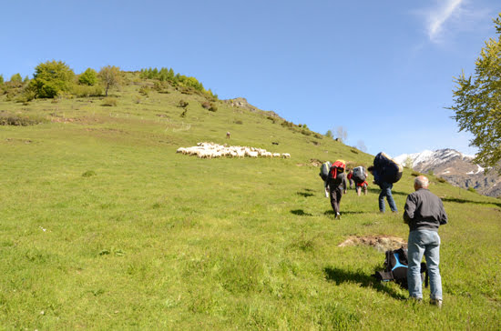 2013piemonte day2387jpg 35319895394 o