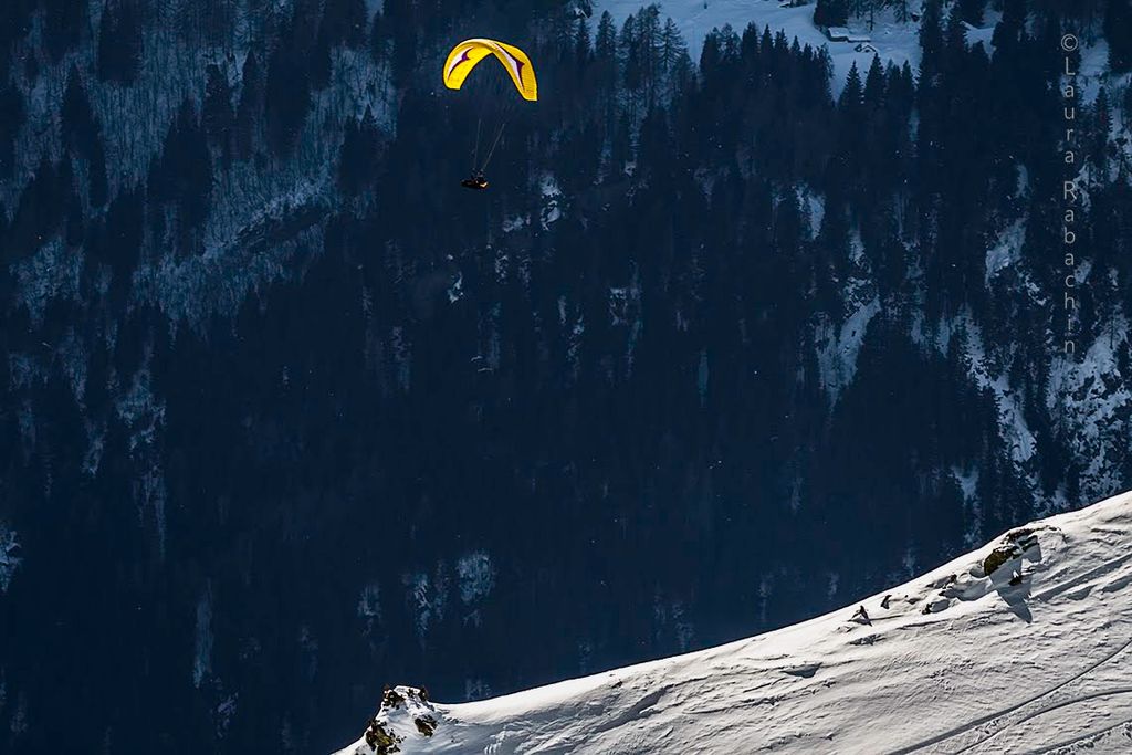 2014cariminiligatask16359jpg 35319466094 o