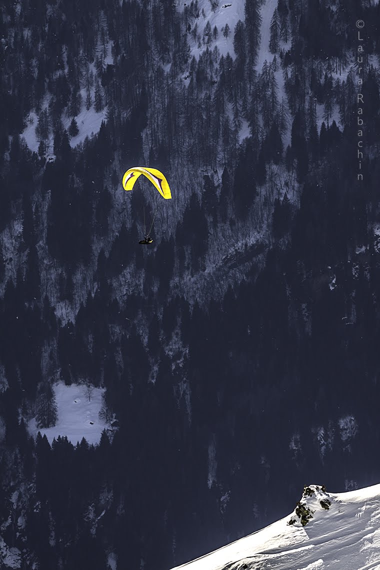 2014cariminiligatask16360jpg 35319461014 o