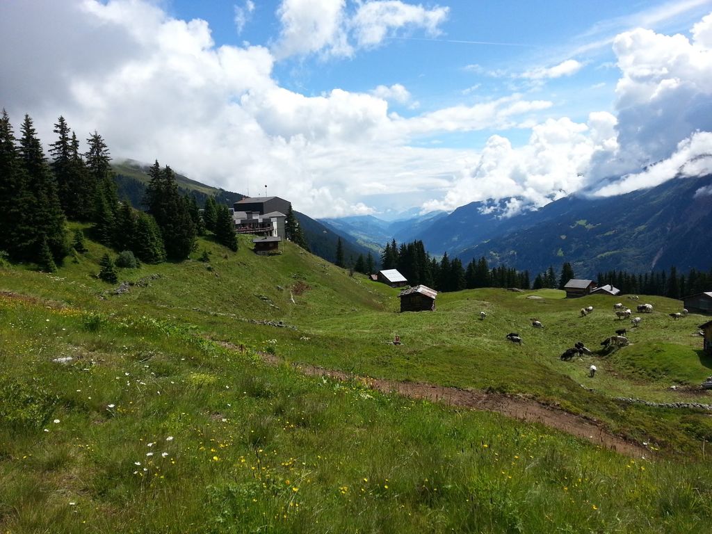 2014disentisopen5680jpg 35319716634 o