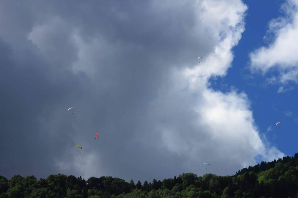 2014leggiametteleali5721jpg 35767242940 o