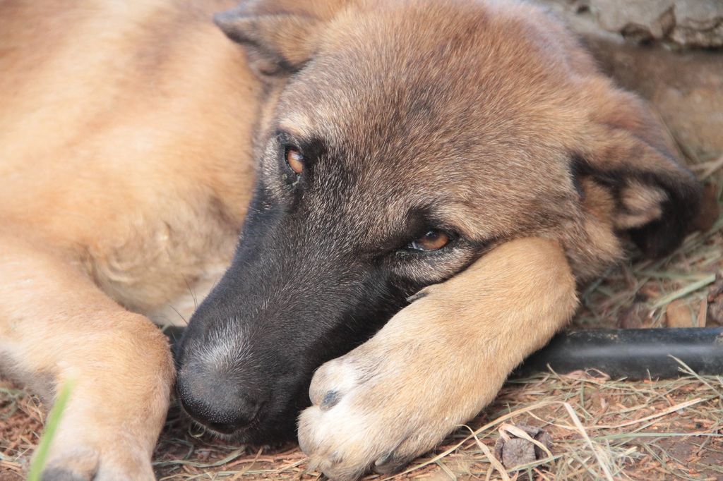 2014sicilia6067jpg 36118404546 o