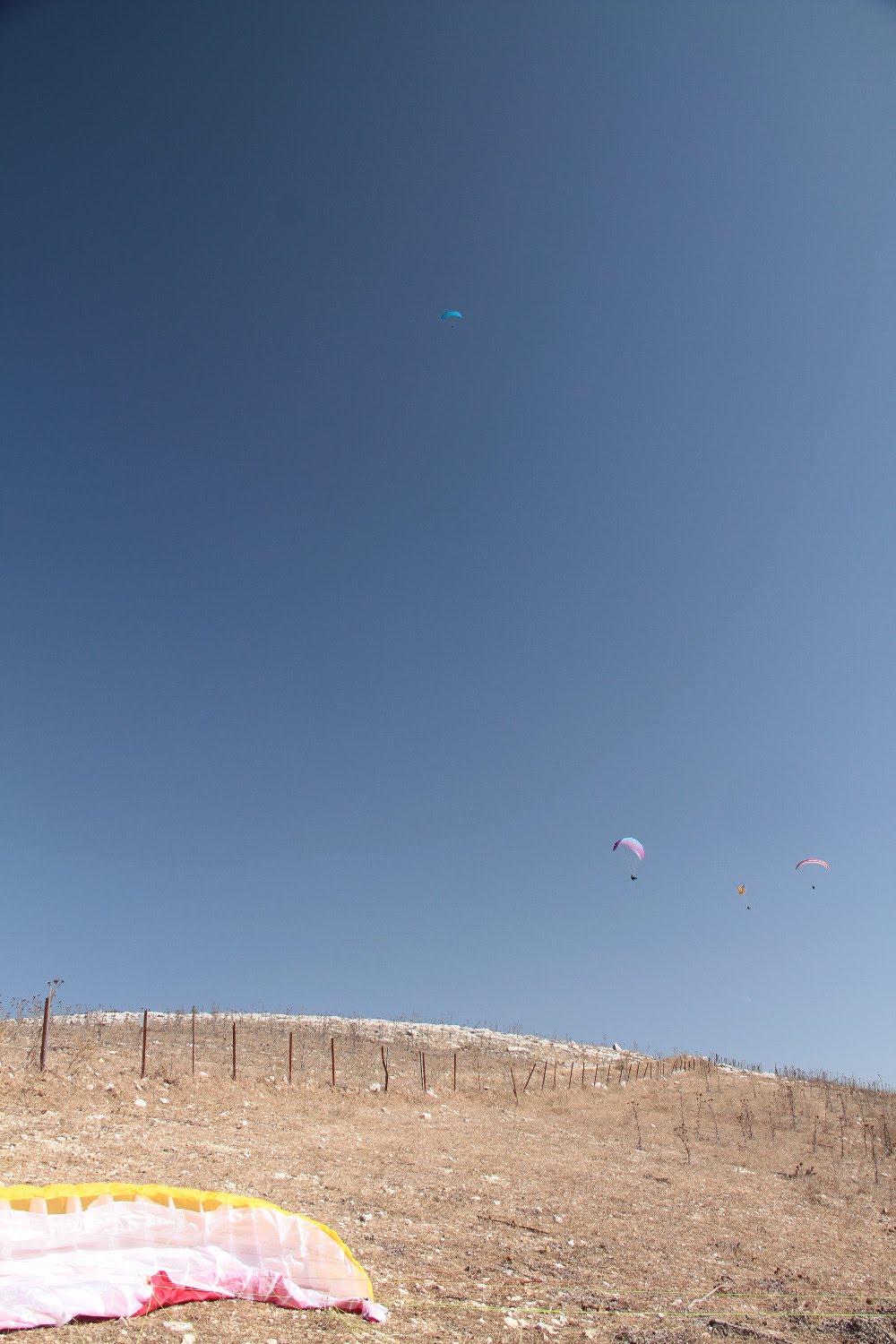 2014sicilia6120jpg 35351384613 o