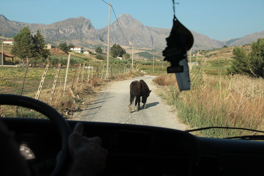 2014sicilia6132jpg 36158734685 o