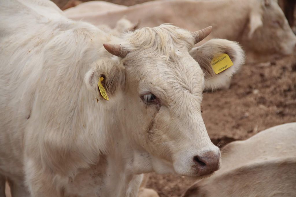 2014sicilia6148jpg 36158693515 o