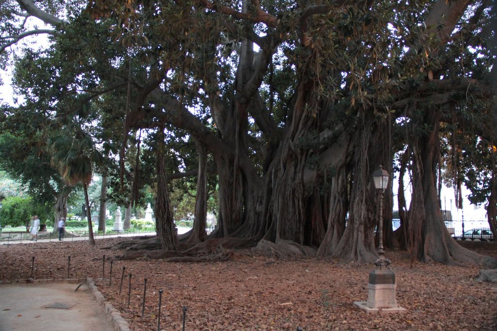 2014sicilia6160jpg 35766968520 o