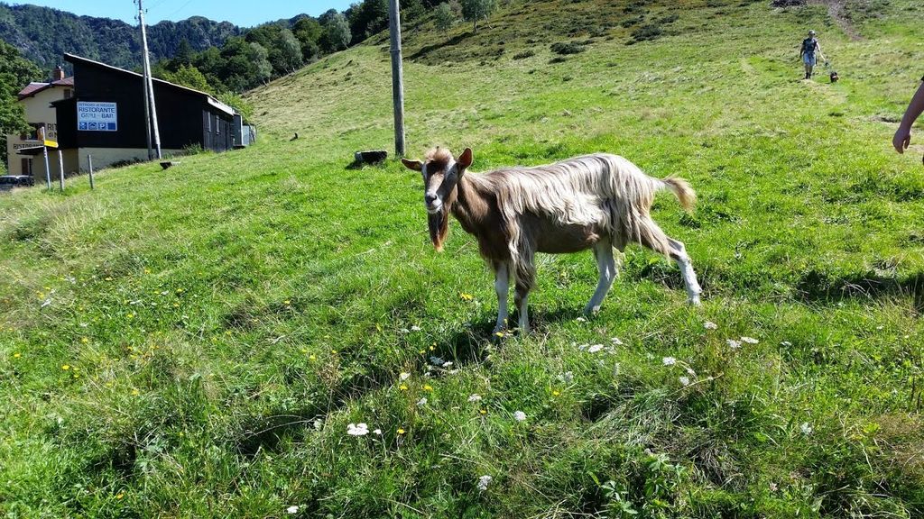 2014traversatadellago5814jpg 35766951360 o