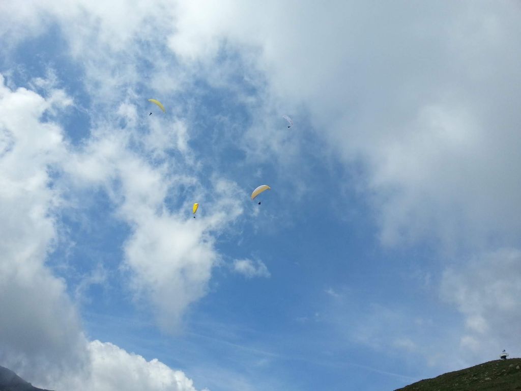 2014uscitaalnara5623jpg 36025425831 o