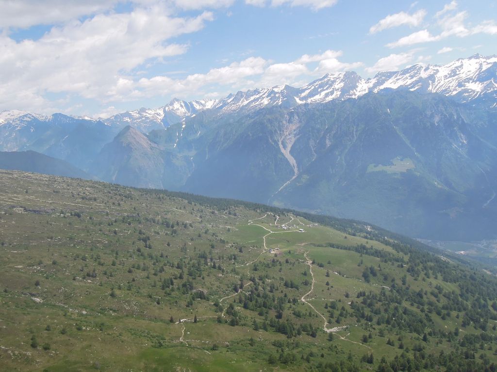 2014uscitaalnara5649jpg 36118411226 o