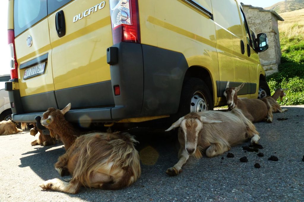 2015traversatadellago6453jpg 35765825410 o