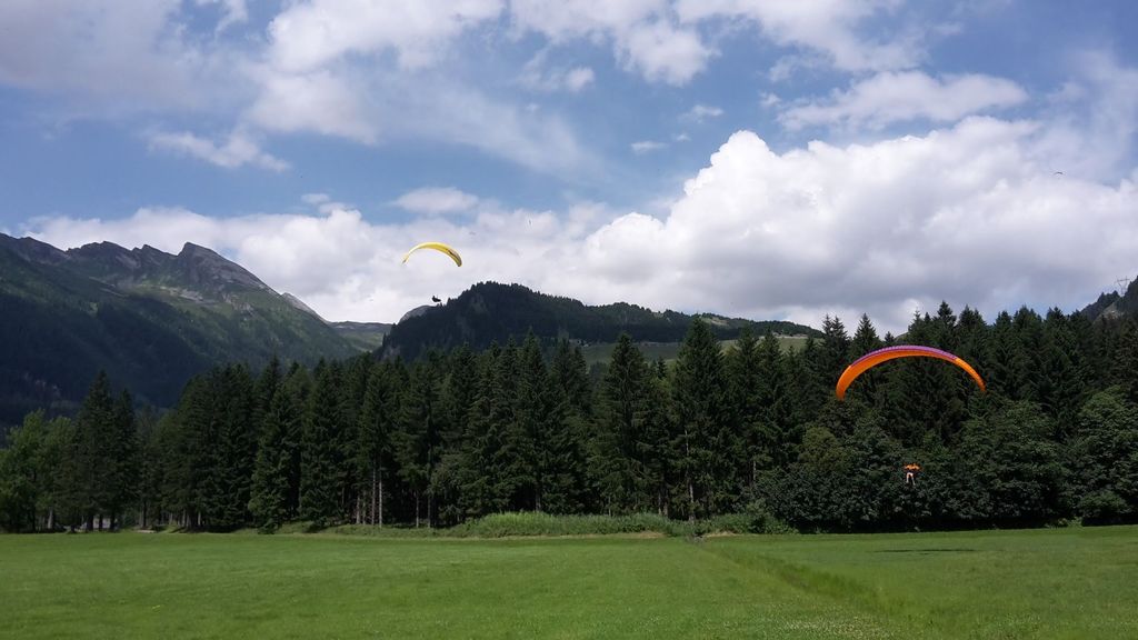 2016sanbernardino7225jpg 36116833656 o