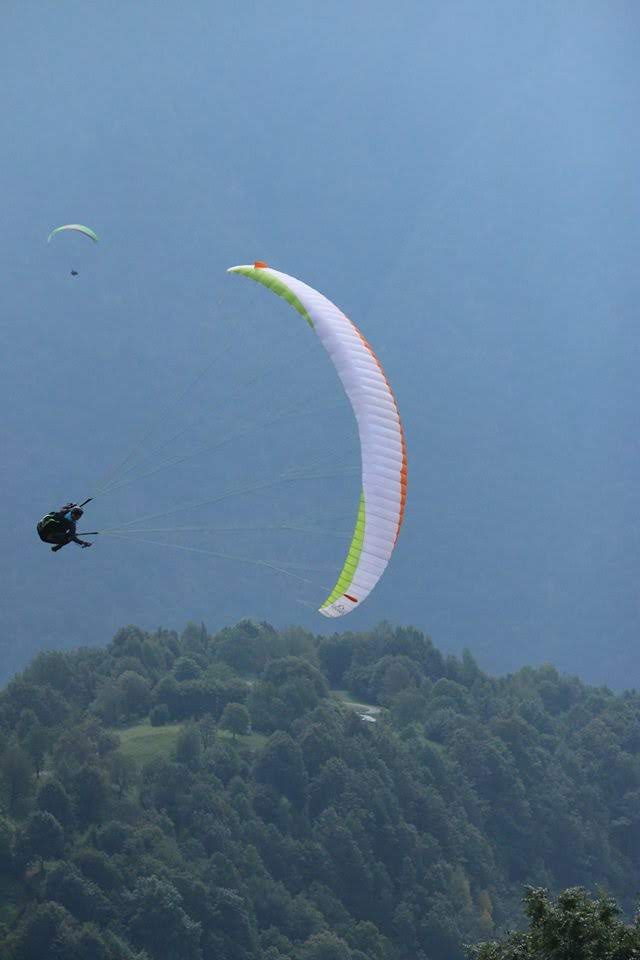 2016testivalleggiametteleali7363jpg 36156091285