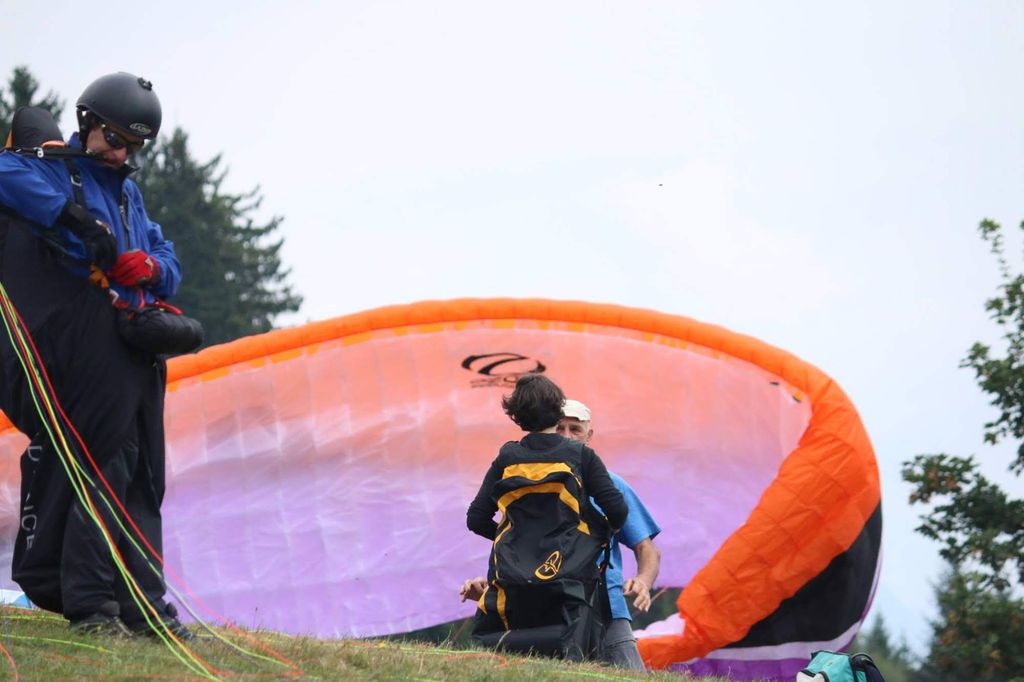 2016testivalleggiametteleali7392jpg 36156086655