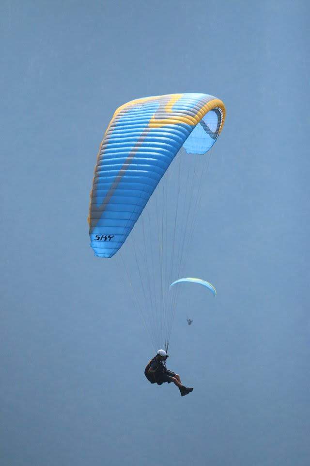 2016testivalleggiametteleali7393jpg 35317410524