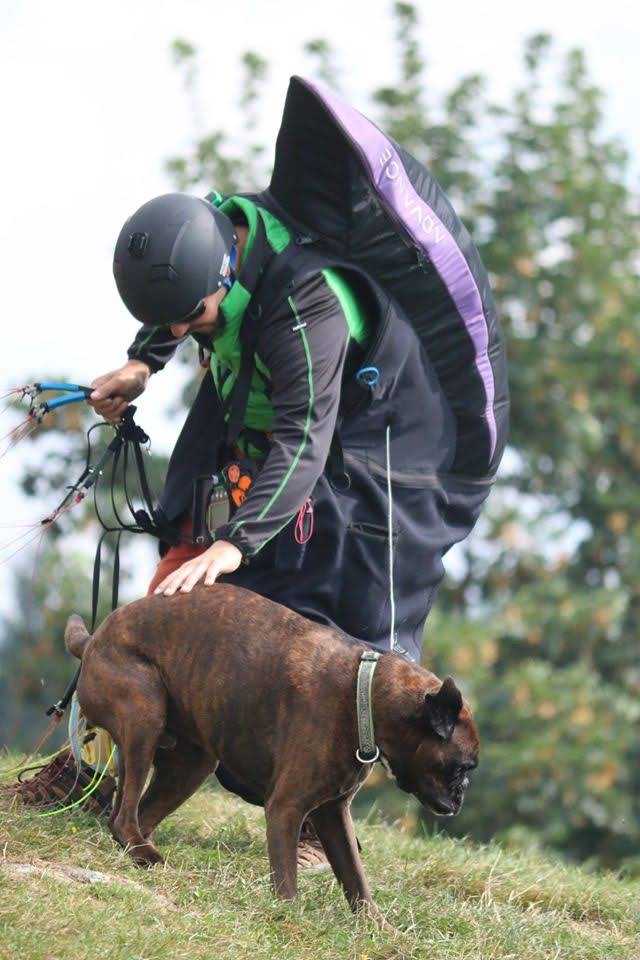 2016testivalleggiametteleali7396jpg 35317410394