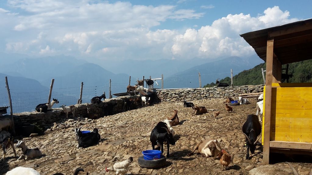 2016traversatadellago7243jpg 36156055375 o