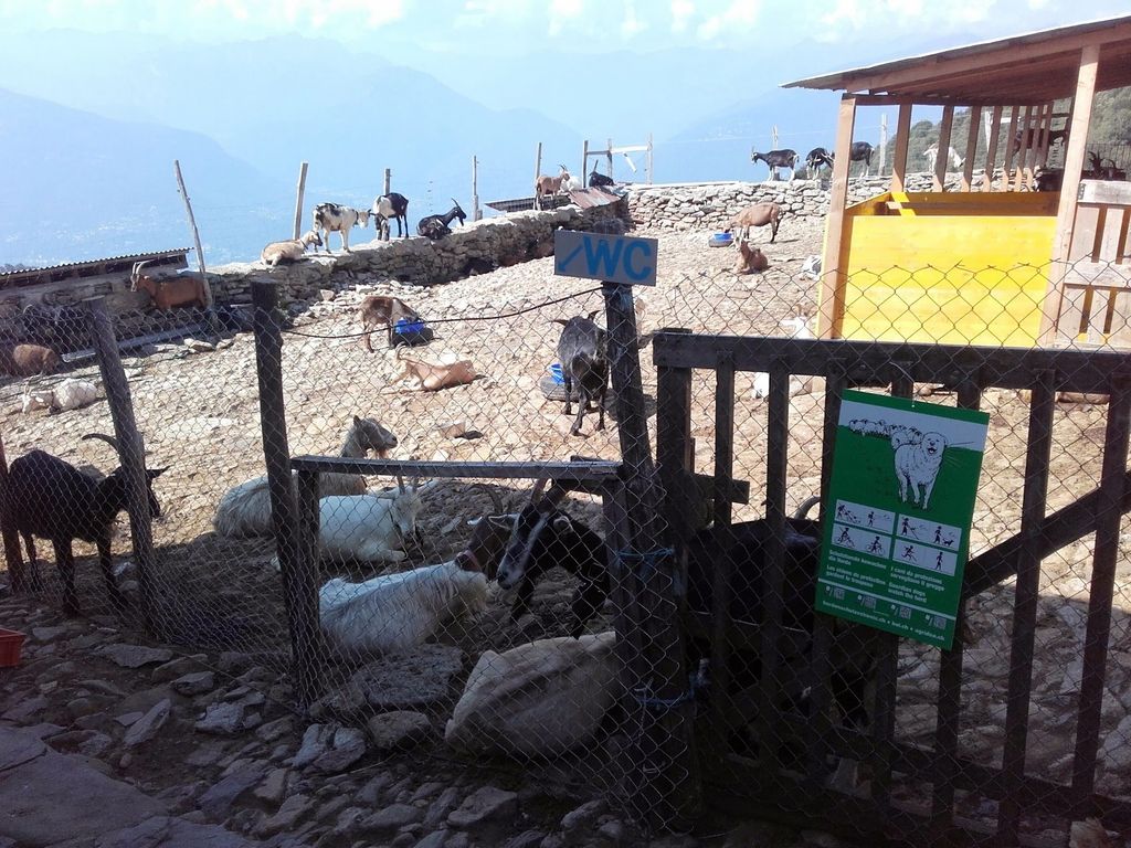 2016traversatadellago7293jpg 36116820436 o