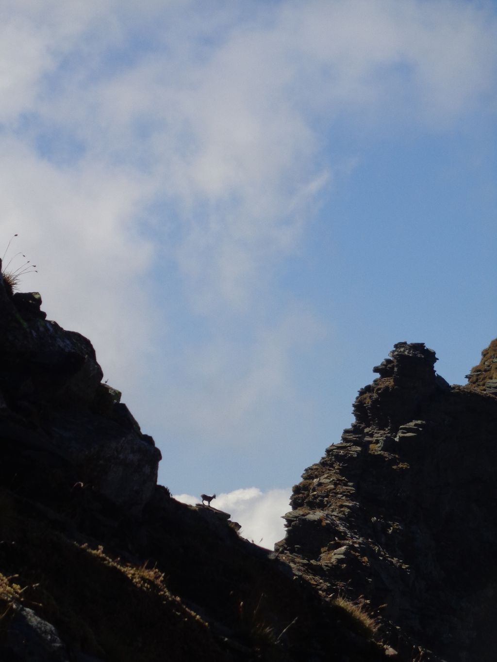 2016uscitaalpina7450jpg 36133939285 o