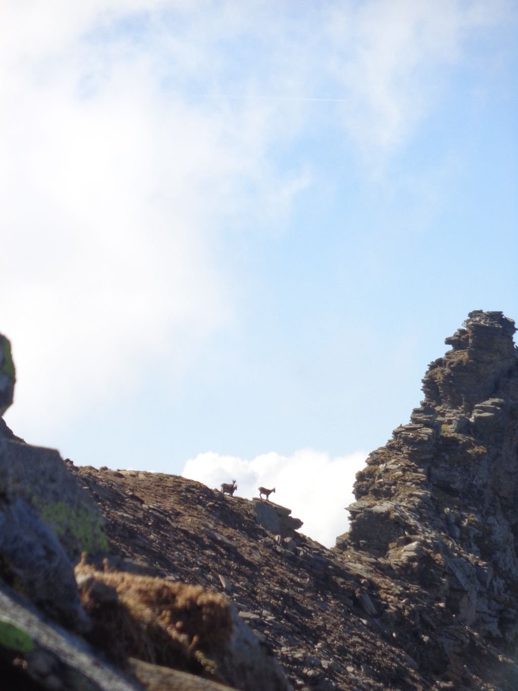 2016uscitaalpina7451jpg 36133939005 o