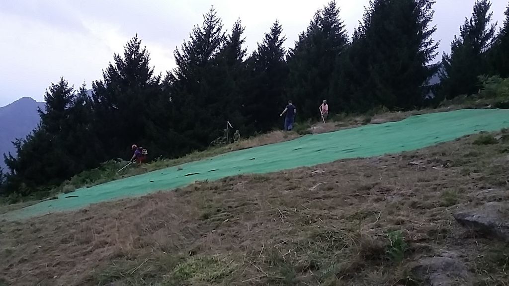 20170908 190333 37146592305 o