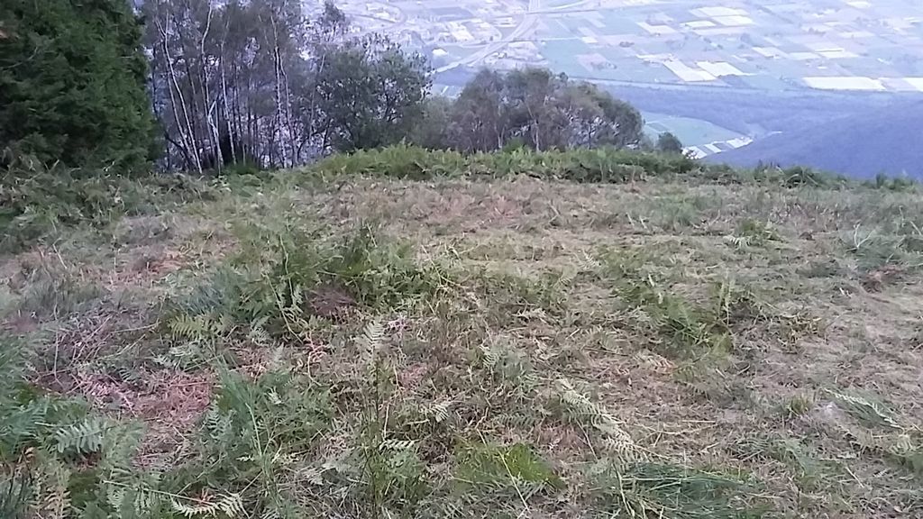 20170908 190343 36332593073 o