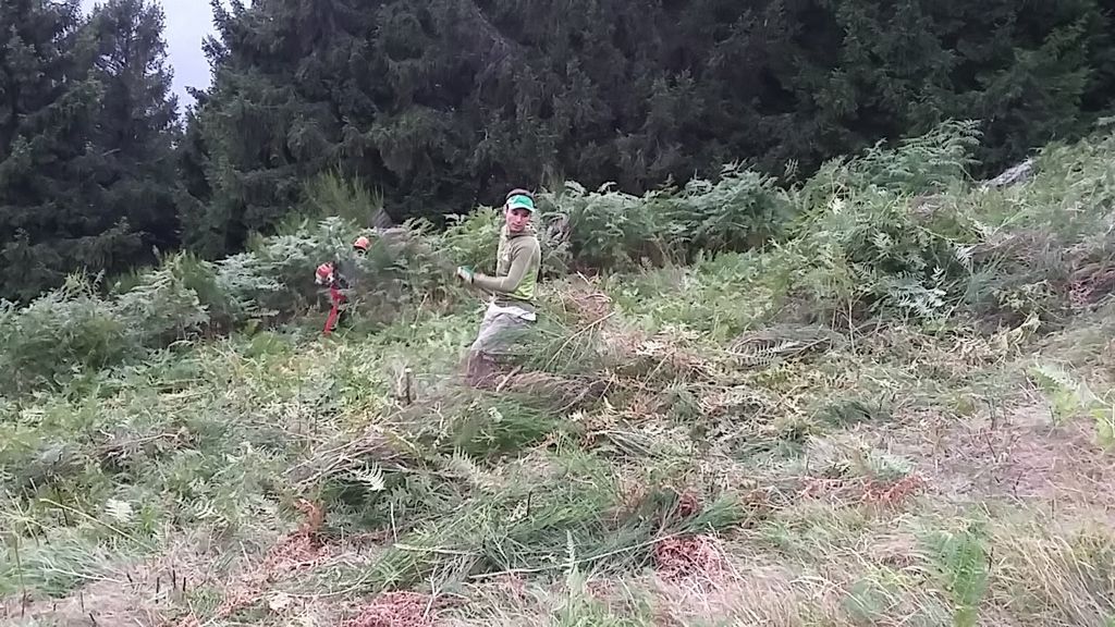 20170908 192432 36332588653 o