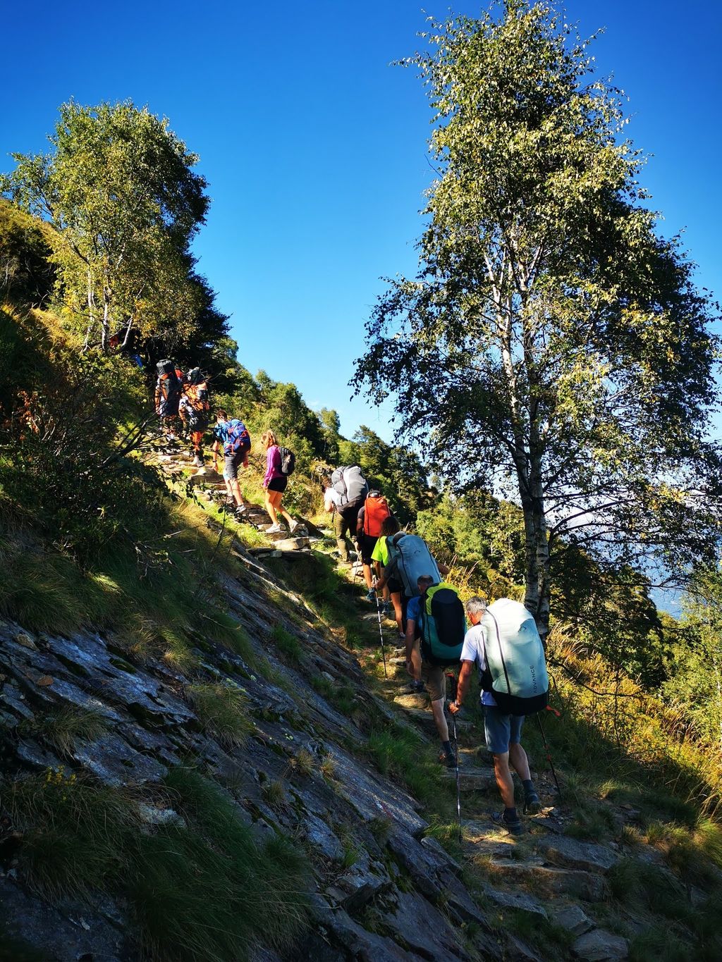 540505339 10230560005726023 4423073565972162622