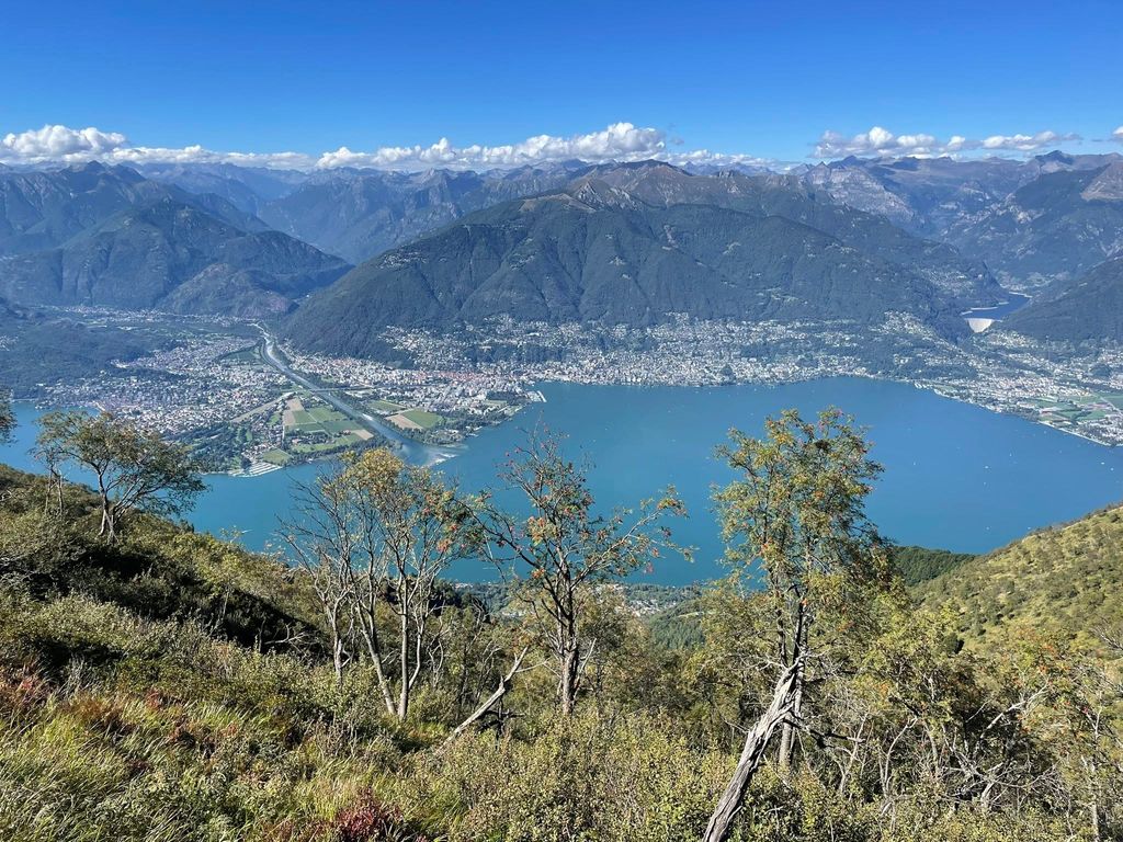 543110034 10223821235398724 5211874539307841826