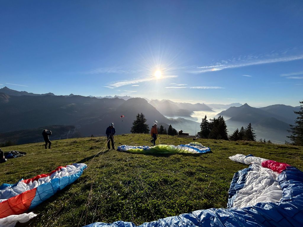 Immagine WhatsApp 2024 11 01 ore 16.12.16 e68c3