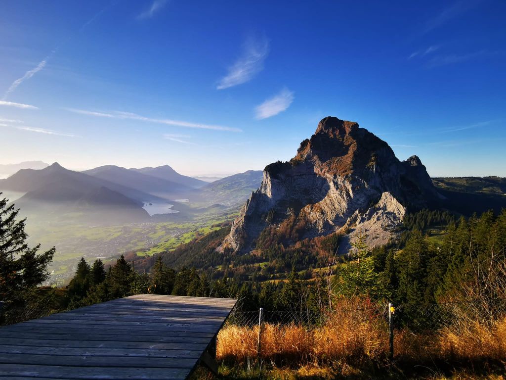 Immagine WhatsApp 2024 11 01 ore 17.11.45 99731