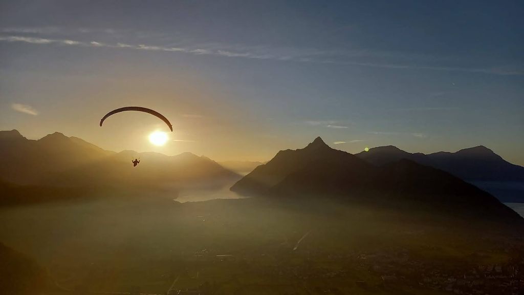 Immagine WhatsApp 2024 11 01 ore 17.37.50 4152b