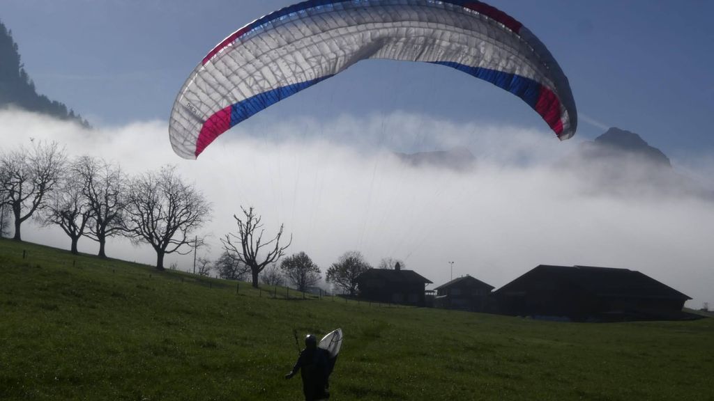 Immagine WhatsApp 2024 11 01 ore 18.09.19 914bf